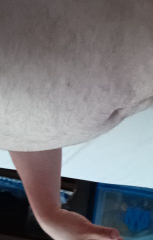 Freddo