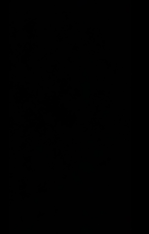 candidature de Nakedorian