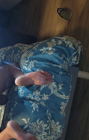 Cameleon candidat acteur porno gay